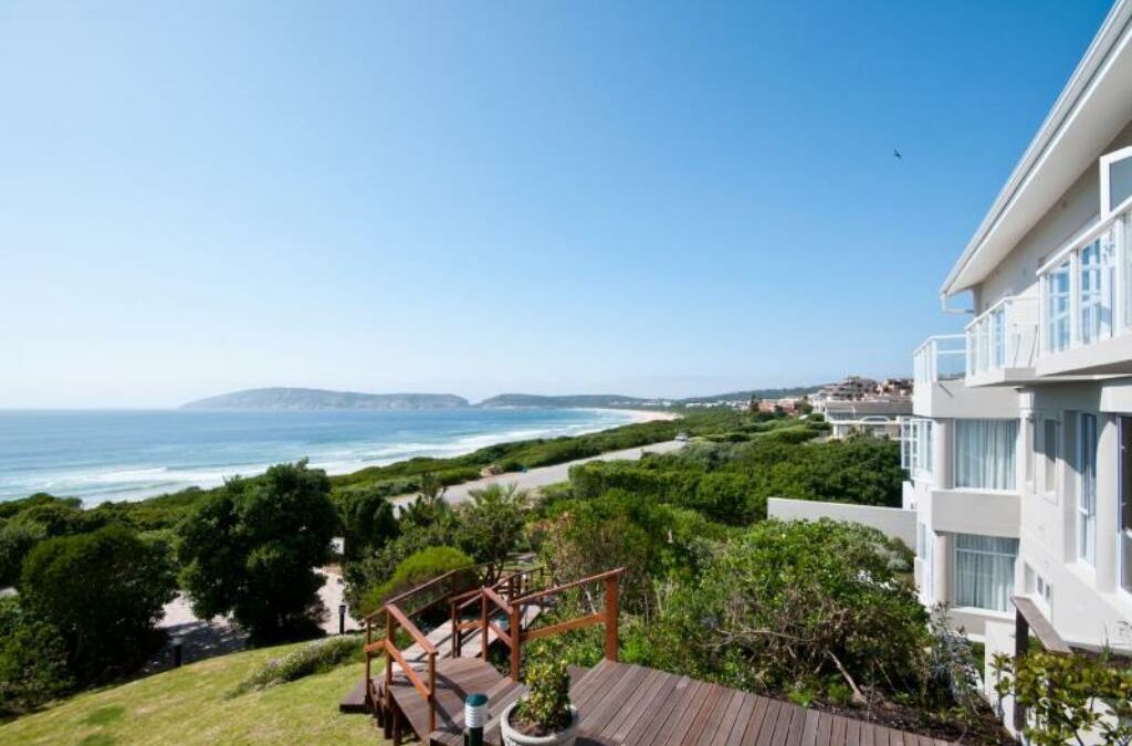 LION ROARS THE ROBBERG BEACH LODGE | PLETTENBERG BAY