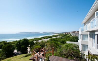LION ROARS THE ROBBERG BEACH LODGE | PLETTENBERG BAY